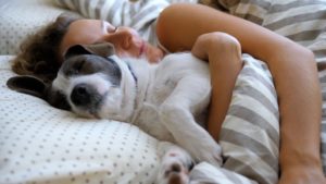 Cuddling with dog, wondering about pets and sleep apnea